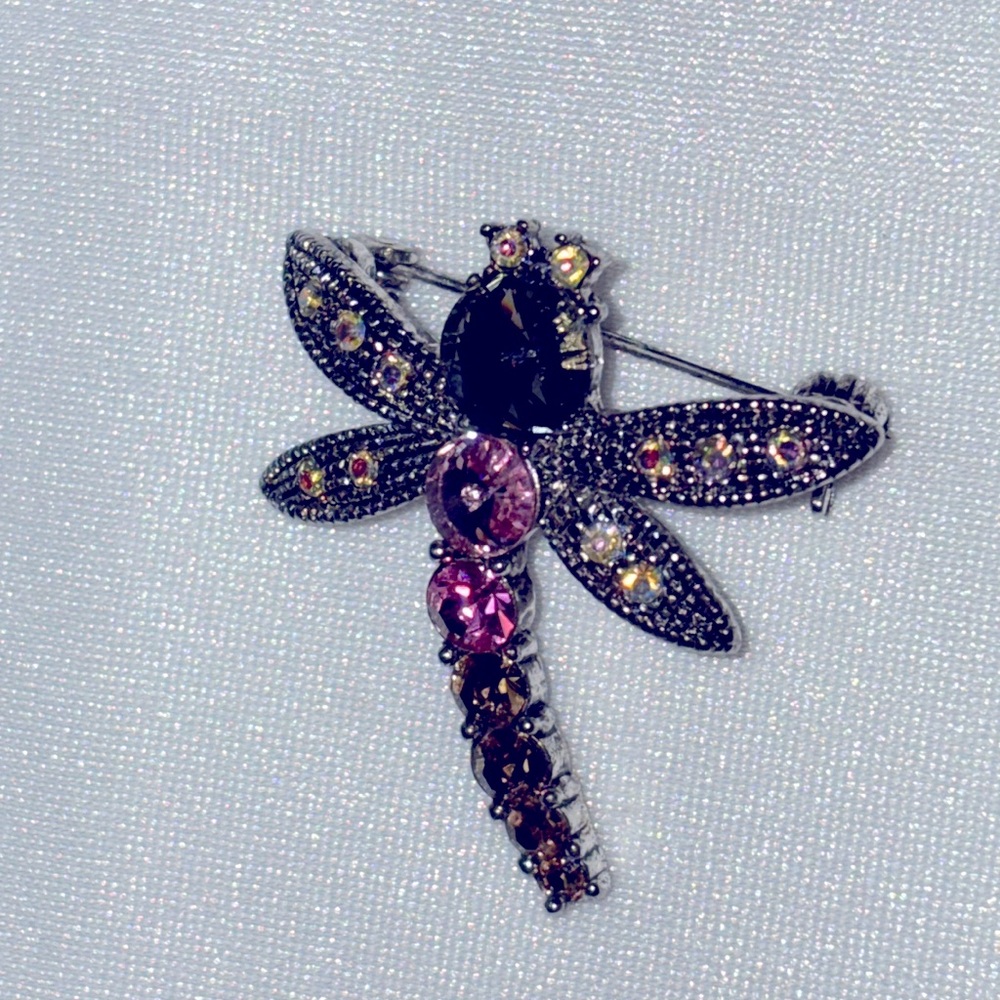 Dragonfly Brooch